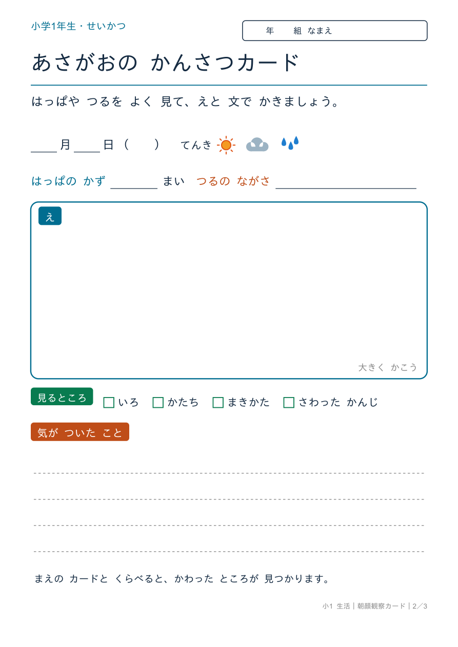 朝顔 観察カード はっぱ・つるの観察