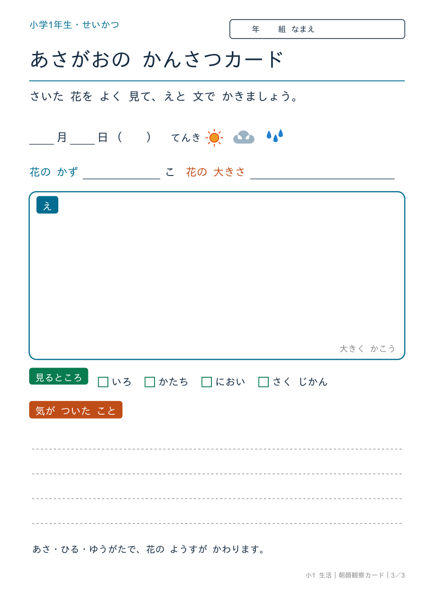 朝顔 観察カード 花の観察
