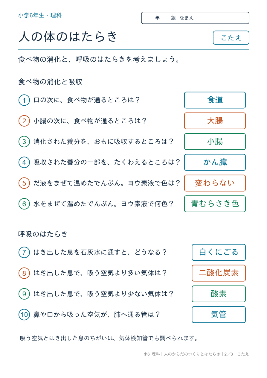 人のからだのつくりとはたらき 消化と呼吸 のこたえページ