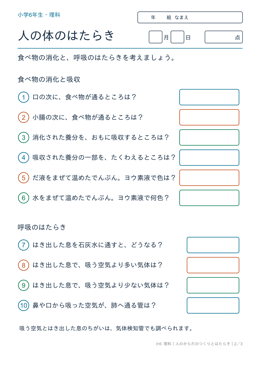 人のからだのつくりとはたらき 消化と呼吸