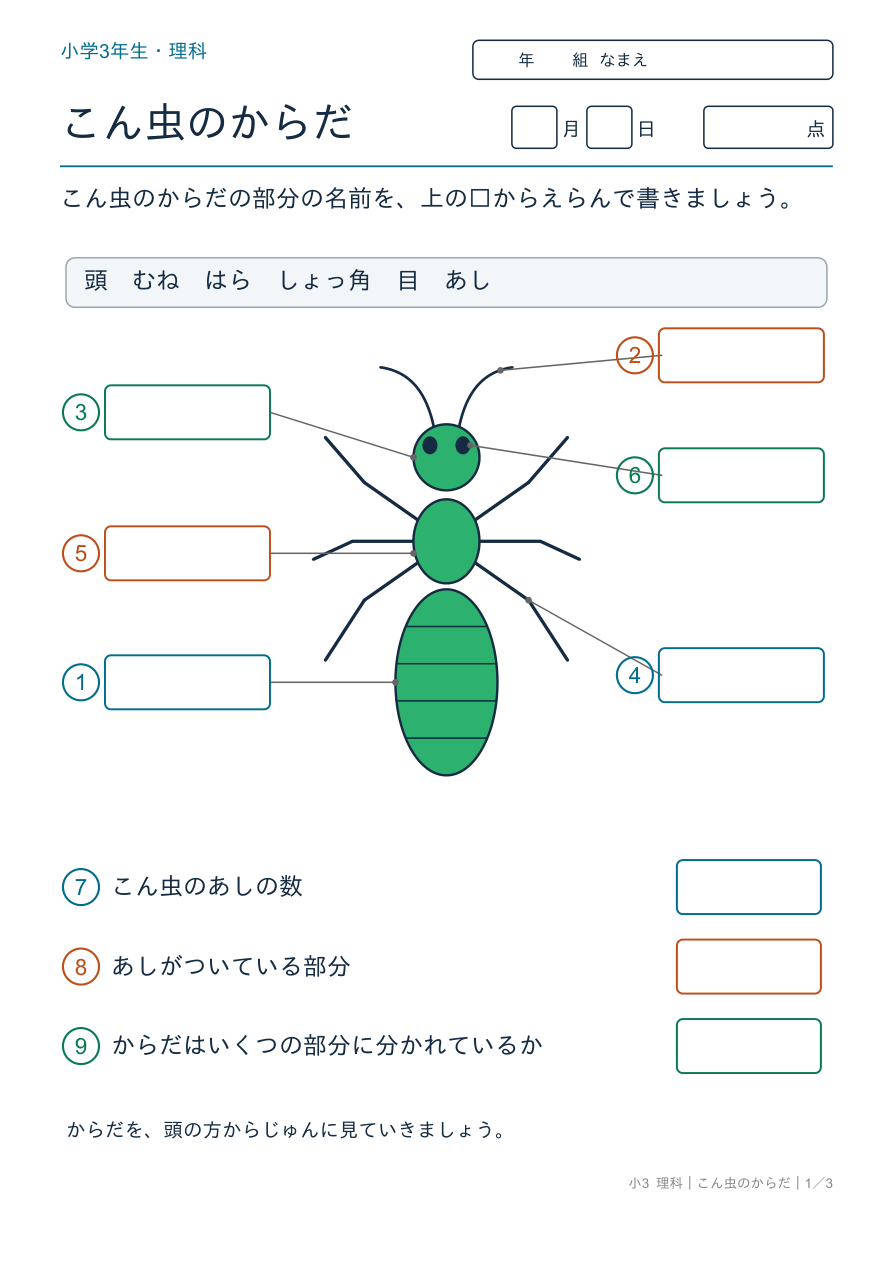 こん虫のからだ からだの部分 の問題ページ