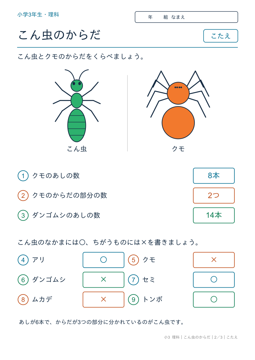 こん虫のからだ こん虫とクモ のこたえページ