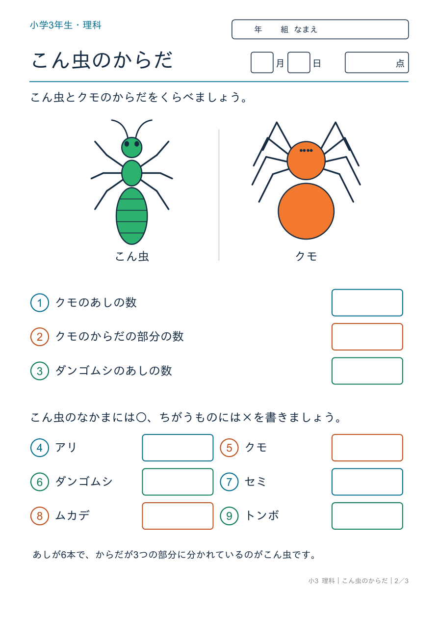こん虫のからだ こん虫とクモ