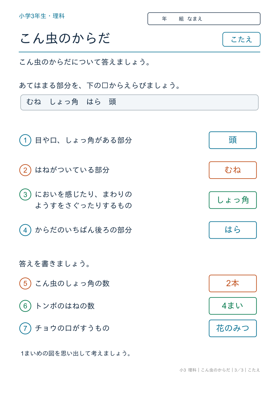 こん虫のからだ からだのまとめ のこたえページ
