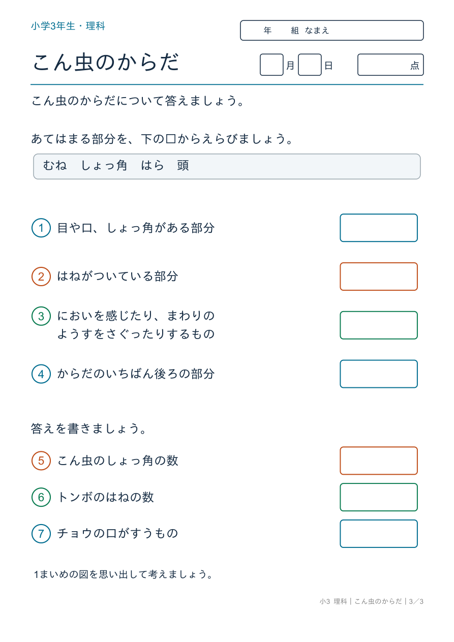 こん虫のからだ からだのまとめ