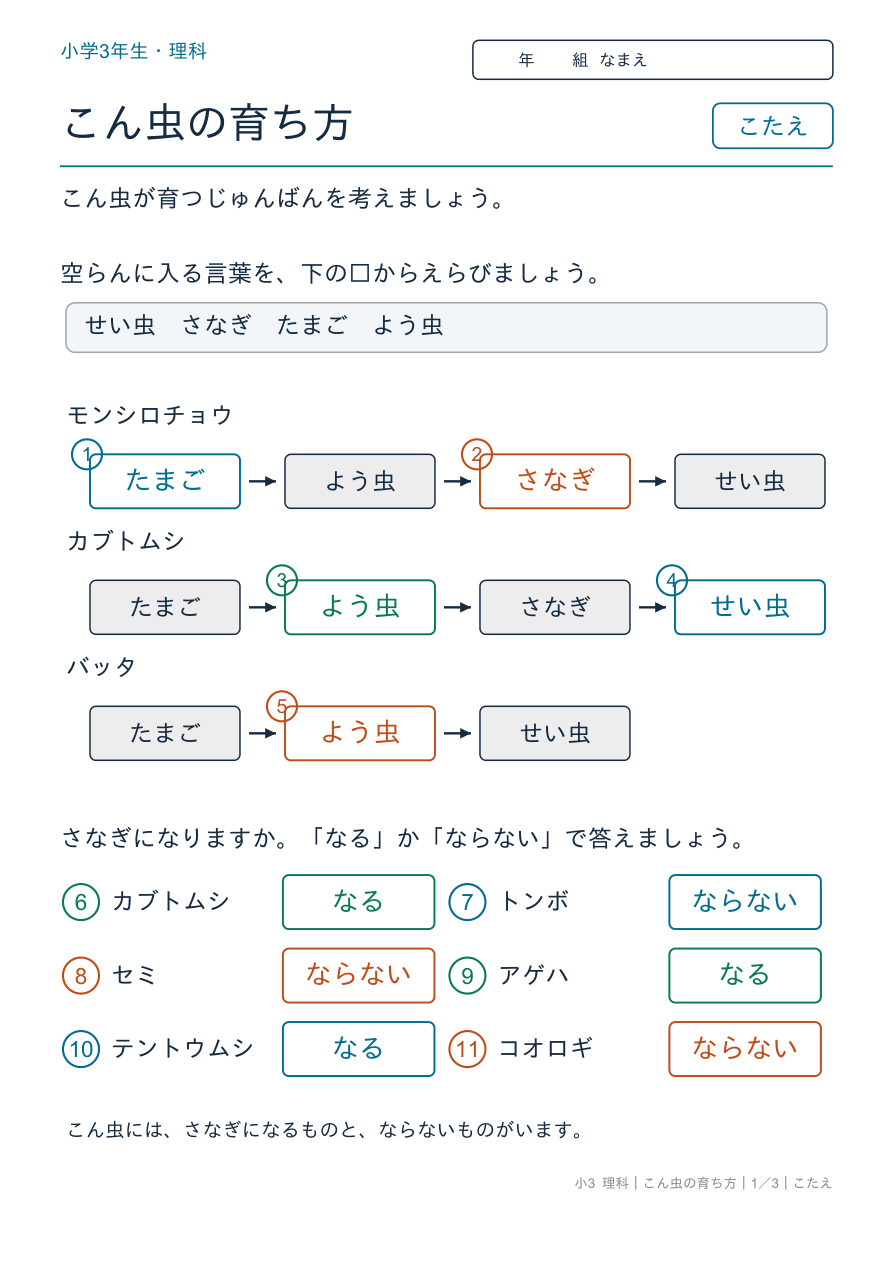 こん虫の育ち方 育つじゅんばん のこたえページ