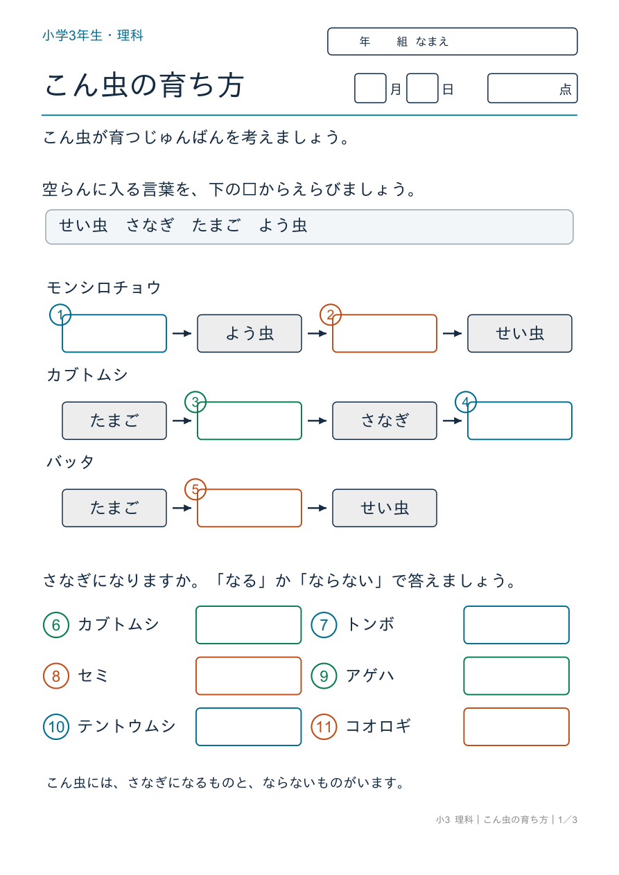 こん虫の育ち方 育つじゅんばん