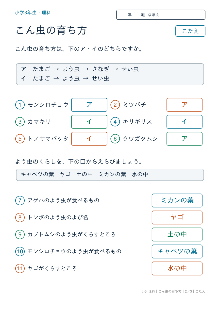 こん虫の育ち方 育ち方のなかま分け のこたえページ