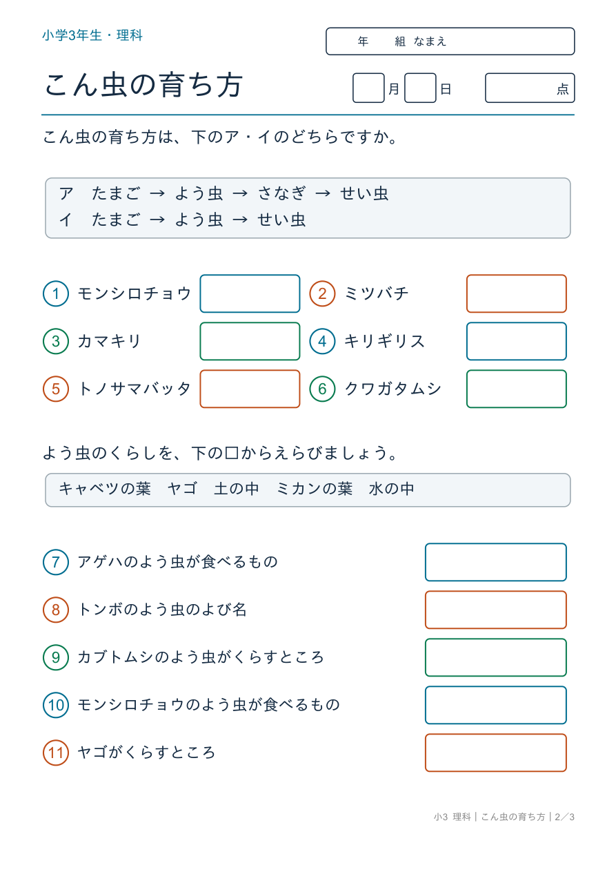 こん虫の育ち方 育ち方のなかま分け