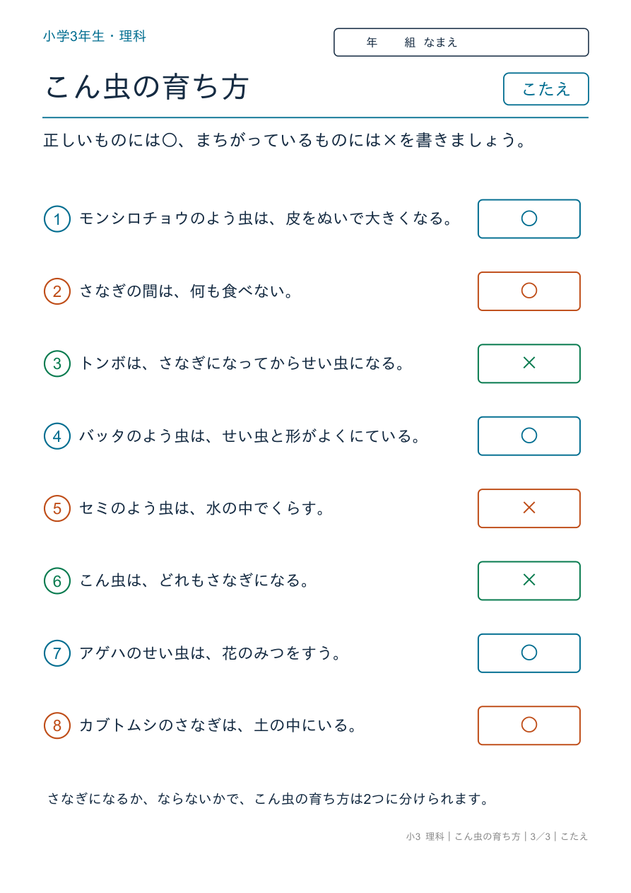 こん虫の育ち方 育ち方のまとめ のこたえページ