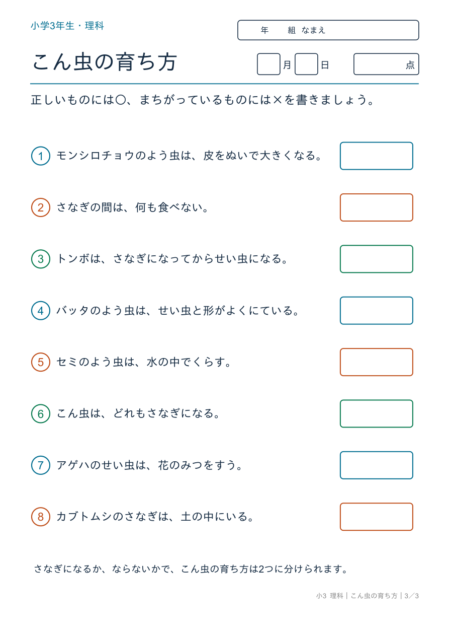 こん虫の育ち方 育ち方のまとめ の問題ページ
