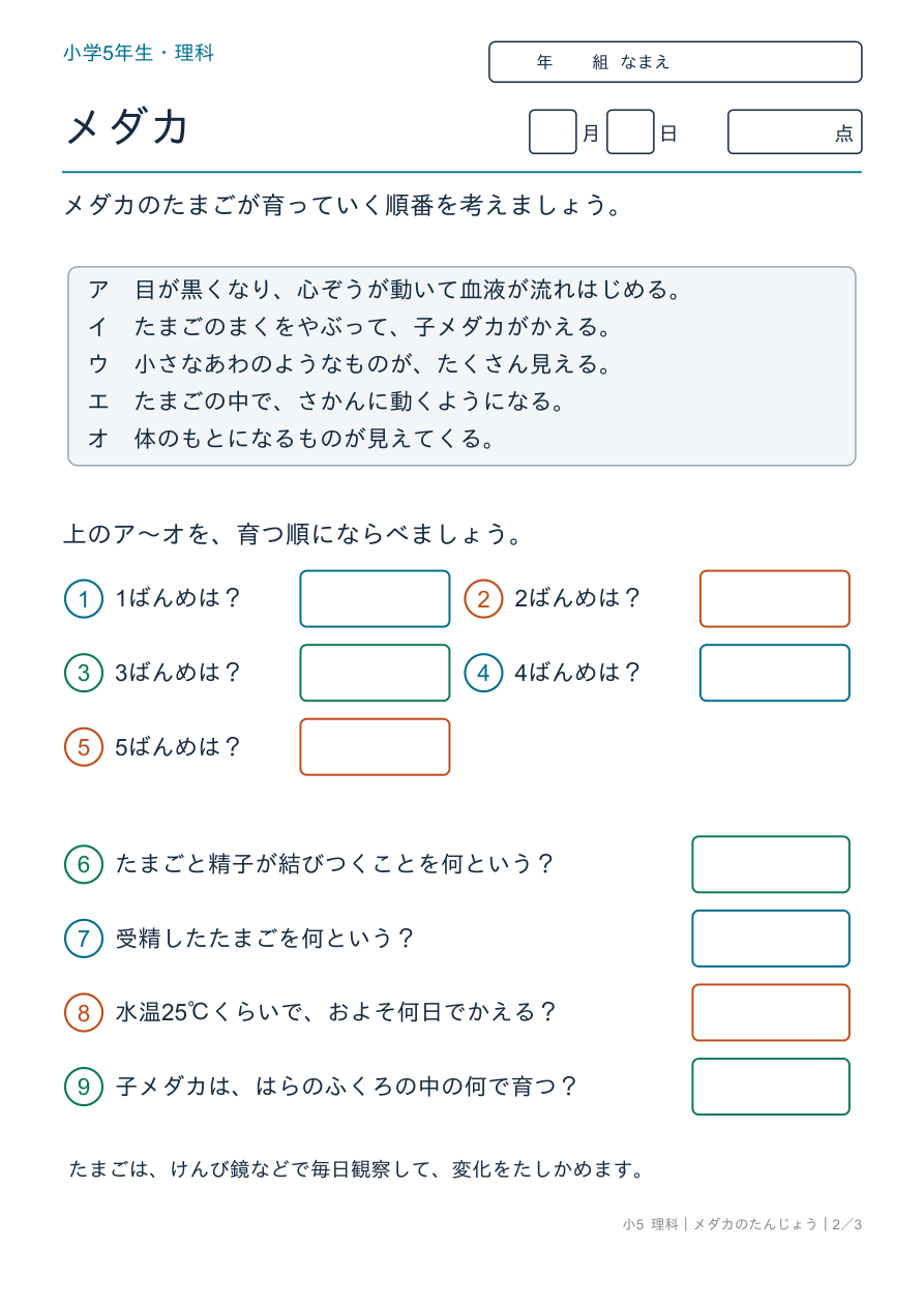 メダカのたんじょう たまごの育ち