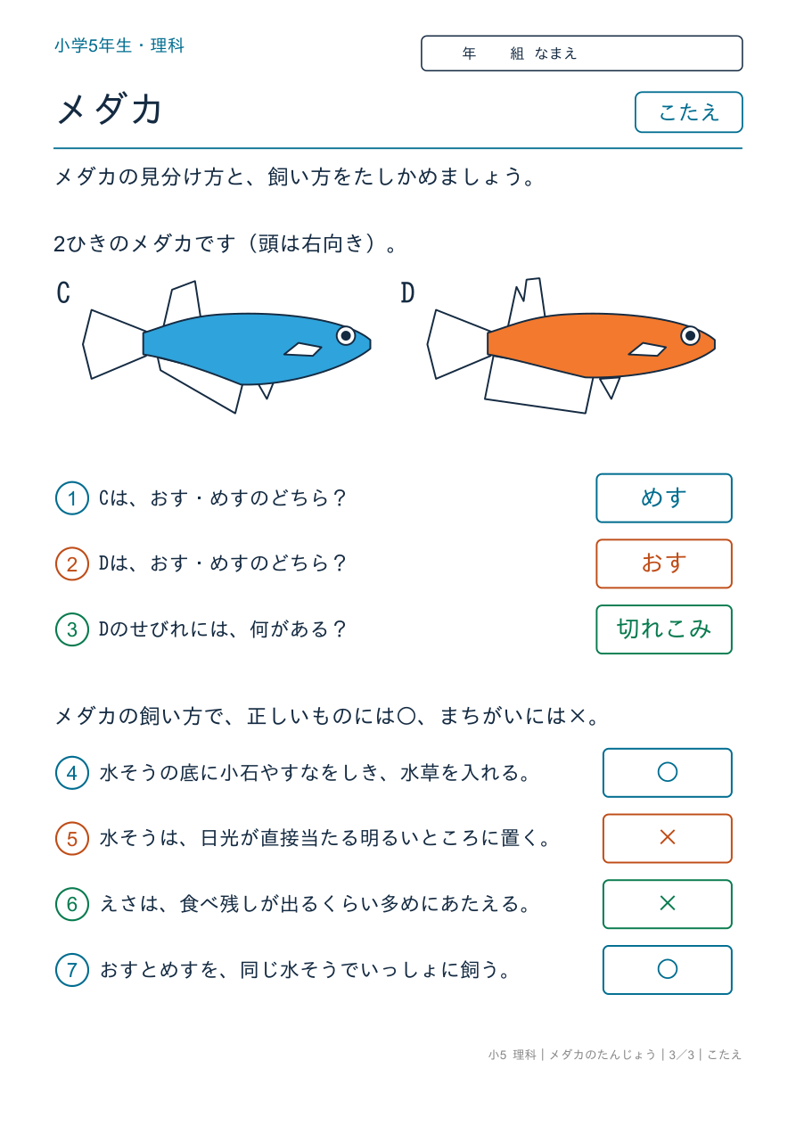 メダカのたんじょう メダカのまとめ のこたえページ