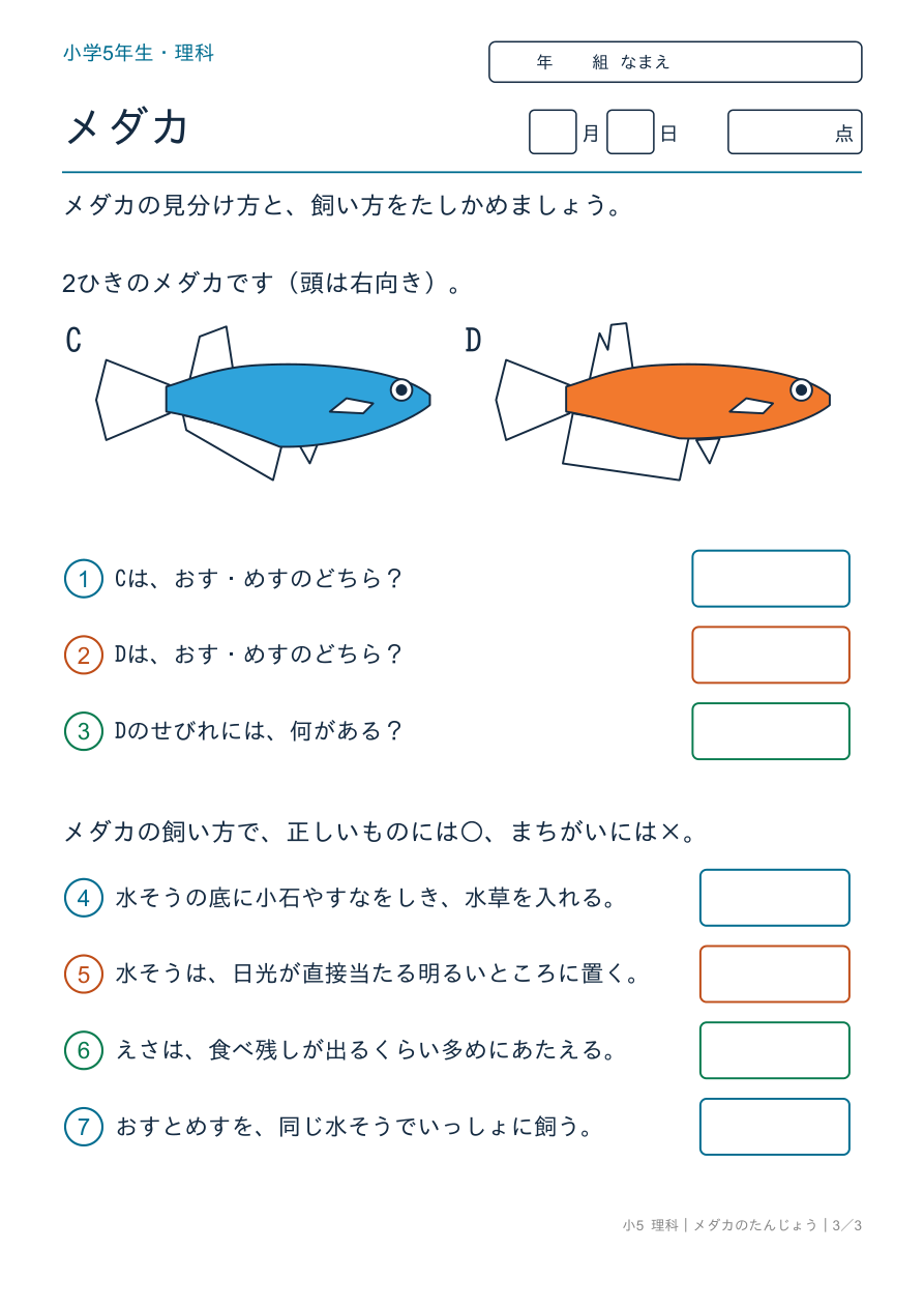 メダカのたんじょう メダカのまとめ