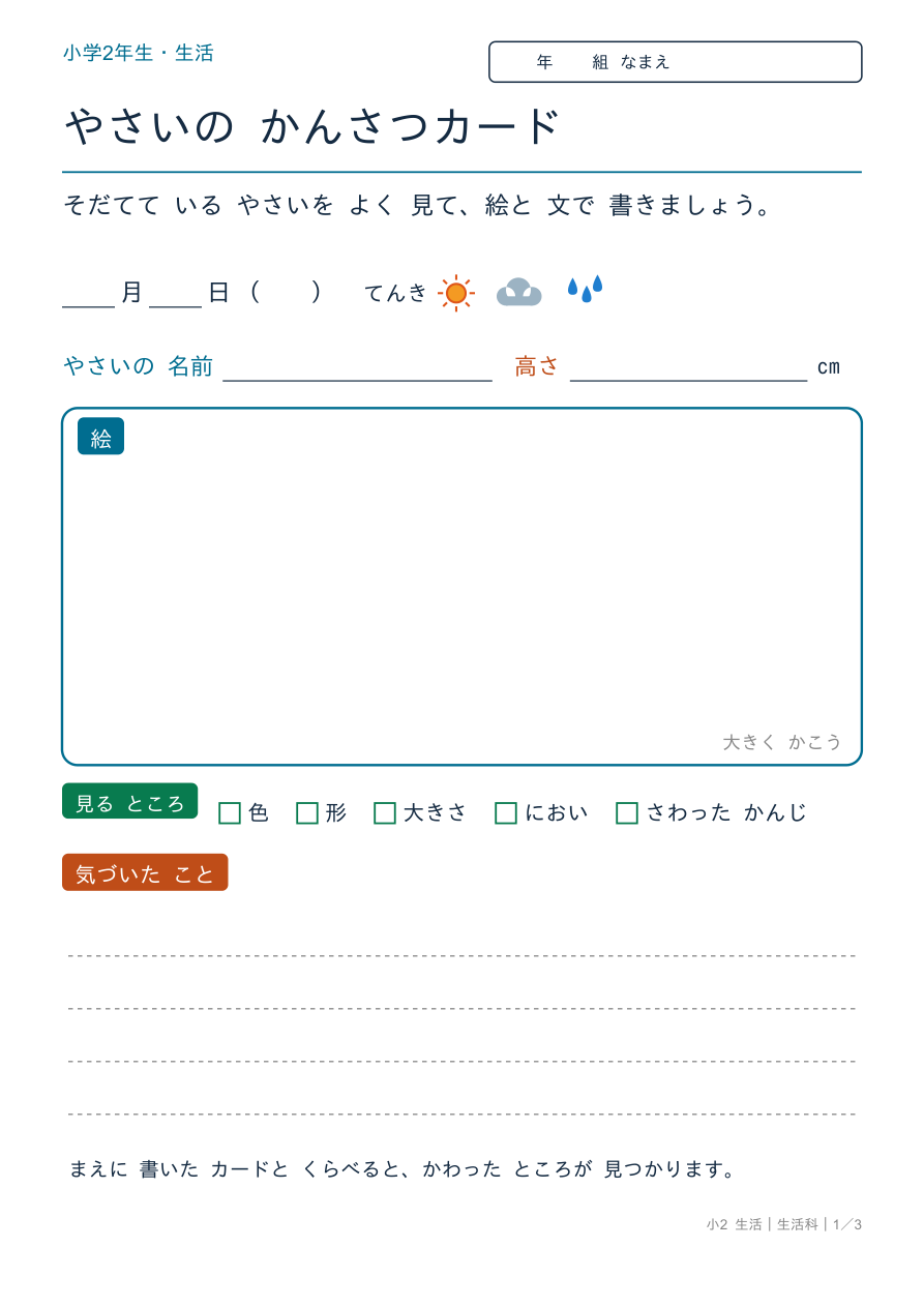 生活科 やさいの観察カード